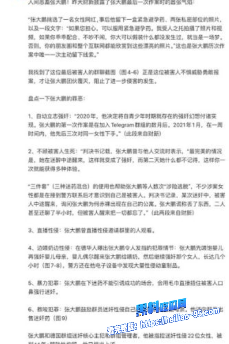 德国精英张大鹏18