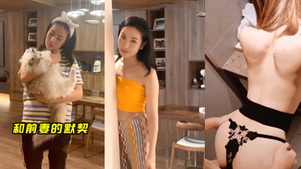 我和娇美前妻的默契 封面