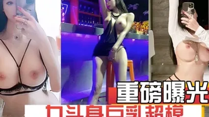 重磅曝光真实极品美女模特成为土豪的炮架子打桩轮奸发泄被培训成性贿赂工具九头身巨乳超模 全集 封面