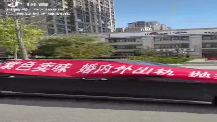 近日江苏徐州沛县宝马七系车主在抖音曝光自己老婆阿冉出轨举着喇叭连连为自己声讨 全集 封面