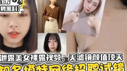 招聘黑料知名模特网络招聘试镜竟泄露美女裸露视频无滤镜颜值顶天 全集 封面