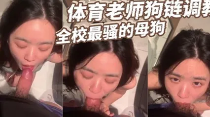 体育老师狗链调教全校最骚的母狗 全集 封面