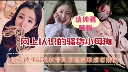 网上认识的骚货小母狗喜欢被捆绑调教带到家里蒙眼虐恋潮吹 封面