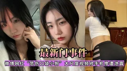 微博网红悲伤口袋小狗大尺度视频修手机惨遗泄露 封面