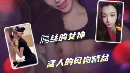 屌丝的女神都是富人胯下母狗 被调教成专属泄欲精盆 粗暴肆意抽插骚逼满足自己 封面