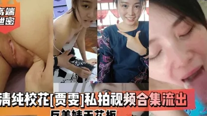 高端泄密清纯校花贾雯私拍视频合集流出反差婊天花板 全集 封面