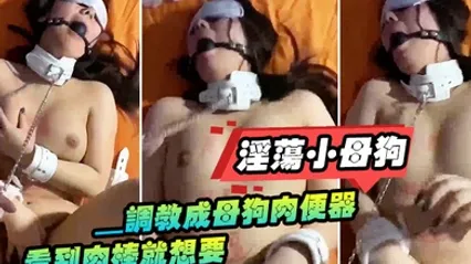 淫荡小母狗_调教成母狗肉便器看到肉棒就想要 全集 封面