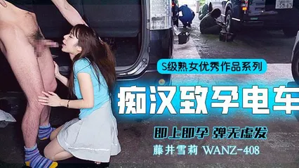 π358 中出列车，即上即孕 封面