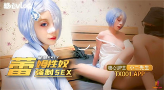 我的小奴隶 coser雷姆萝莉被强制sex 小二先生 封面