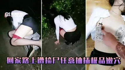 回家路上遭捡尸任意抽插极品嫩穴 封面