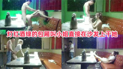 灯红酒绿的包厢内操了陪酒小姐 封面