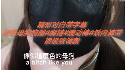 精彩对白带字幕#狗圈#震动棒#铁制内裤 封面