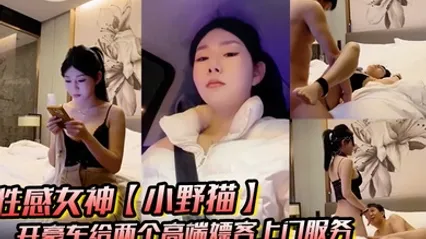 性感女神小野猫开豪车给两个高端嫖客上门服务猥琐大叔喜欢玩SM帅哥还算正常吹箫热身啪啪 全集 封面