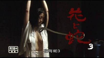 花与蛇 3 日语中字 小向美奈子 本宫安风 小松崎真理 封面
