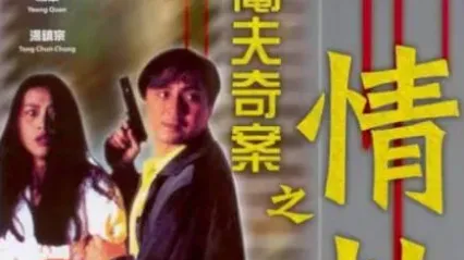 阉夫奇案之情劫Possessed1994 封面