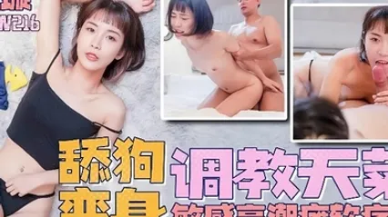苏璇TMW216舔狗变身调教天才敏感高潮瘫软痉挛 全集 封面