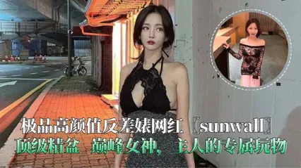 极品高颜值反差婊网红〖sunwall〗顶级精盆巅峰女神主人的专属玩物 封面