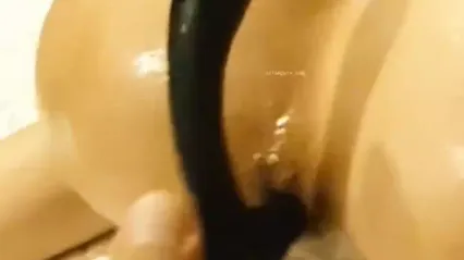 月工门训练 封面