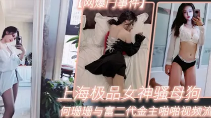 网爆门事件上海极品女神骚母狗何珊珊与富二代金主啪啪视频流出 全集 封面