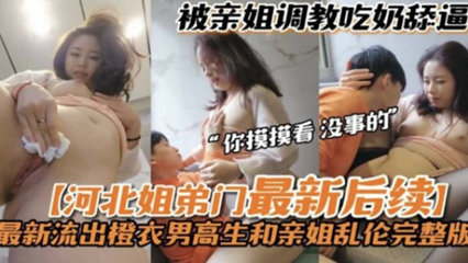 河北姐弟门最新后续 封面