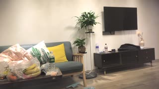 熟女阿姨 被小哥无套输出不停 封面