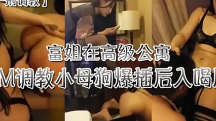 富姐在高级公寓SM调教小母狗爆插后入尿 全集 封面