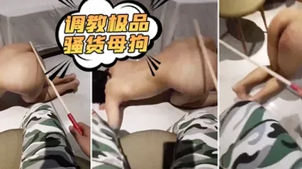 调教极品骚货母狗 全集 封面