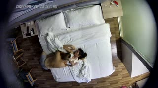 带超骚情人酒店开房，表情一脸淫骚，69互舔骑乘位 封面