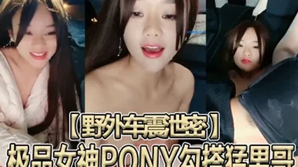 野外车震泄密极品女神PONY勾搭猛男哥无套骑乘顶操中国红女神被大J8猛操苦不堪言没忍住内射 全集 封面