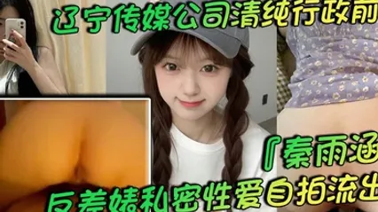 辽宁传媒公司清纯行政前台秦雨涵反差婊私密性爱自拍流出肥臀母狗的背后淫乱生活曝光 全集 封面