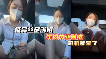 极品丝足御姐车内肉丝自慰司机都蒙了 封面