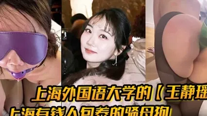上海外国语大学的王静瑶留学法国的婊子上海有钱人包养的骚母狗喜欢玩sm被金主大哥当喷泉玩 全集 封面