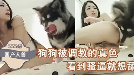 国产人兽狗狗被调教的真色看到骚逼就想舔 全集 封面