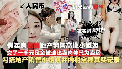 真实记录房地产销售为了卖房子金主诱骗失身 封面