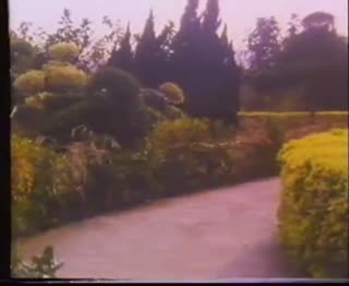 好色妖姬杨贵妃 国语 封面