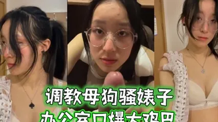 调教母狗骚婊子办公室口爆大鸡巴 全集 封面
