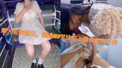 摩天轮奇遇记偶遇03学妹加上微信当晚开房 封面