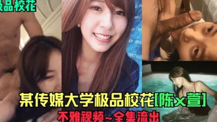 极品校花某传媒大学极品校花陈x萱不雅视频_全集流出 全集 封面