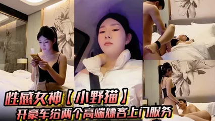 性感女神_小野猫_开豪车给两个高端嫖客上门服务猥琐大叔喜欢玩SM帅哥还算正常吹箫热身啪啪 封面