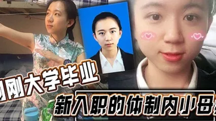 刚刚大学毕业新入职的体制内小母狗涉世未深被渣男曝光不错 全集 封面