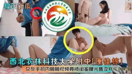 炸裂校园大瓜西北科技大学附中，女友的手机内啪啪视颇竟然被闺蜜曝光售卖 封面