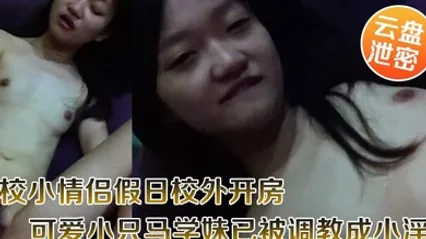 云盘泄密职校小情侣假日校外开房啪啪露脸自拍外流超骚可爱小只马学妹已被调教成小淫娃嗲叫好舒服 全集 封面