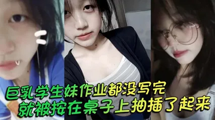 巨乳学生妹作业都没写完就被按在桌子上抽插了起来_操的俩个大奶子不停摇晃_还让我把套给摘了 封面