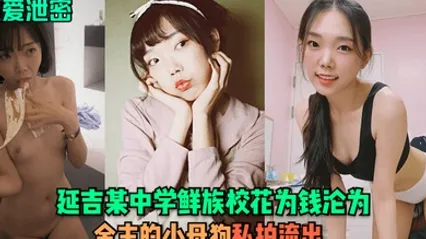 性爱泄密延吉某中学鲜族校花为钱沦为金主的小母狗私拍流出 全集 封面