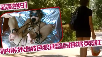 淫荡熟妇不穿内裤外出被色狼迷昏后捆绑凌辱肛交 全集 封面