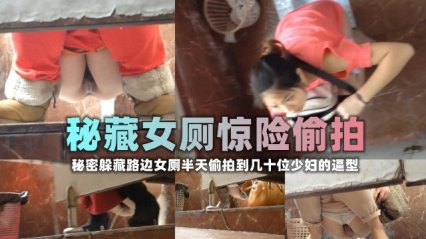 秘藏女厕惊险偷拍，几十位少妇淫荡骚穴尿尿户型 封面