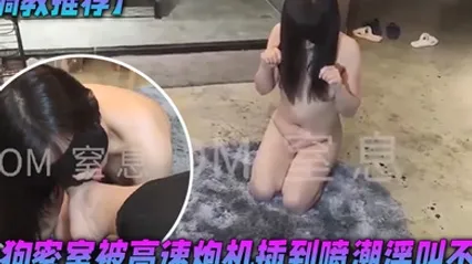 调教推荐母狗密室被高速炮机插到喷潮淫叫不止 全集 封面