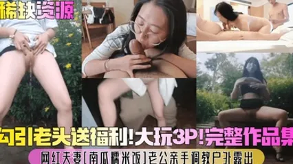 稀缺资源网红夫妻[南瓜糯米饭]老公亲手调教户外露出，勾引老头送福利！大玩3P！完整作品集！ 全集 封面