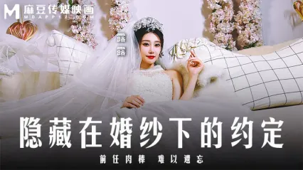 麻豆传媒 MD0311 隐藏在婚纱下的约定/前任肉棒难以遗忘 - 露露 封面