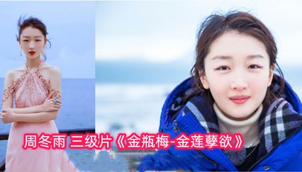 明星 AI换脸 周冬雨《金瓶梅-金莲孽欲》 封面